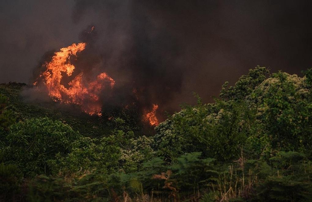 Honduras'ta orman yangınlarından 33 bin hektar alan etkilendi