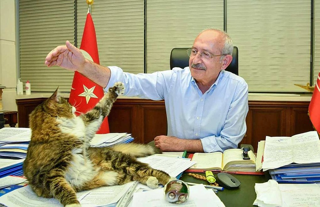 HAKİM’den Kılıçdaroğlu’na destek: Hayvan hakları savunucuları sandığa 