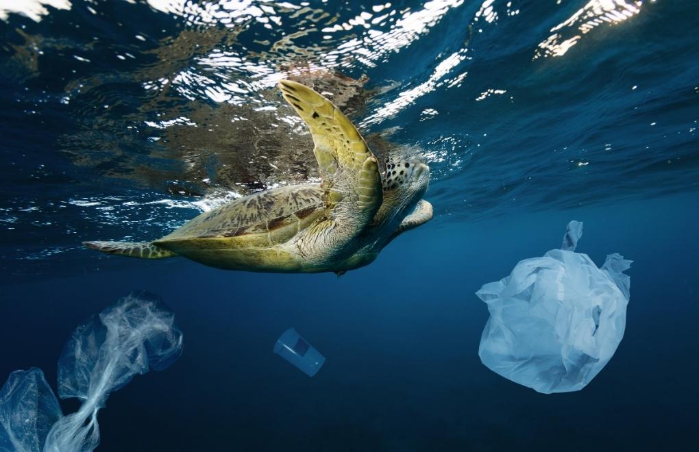 Plastik kirliliği ile mücadele için “Sahil Sahiplen”