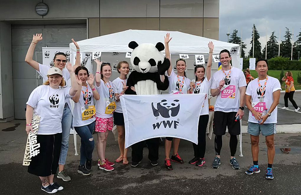 Rusya çevreci grup WWF'yi 'istenmeyen kuruluş' ilan etti