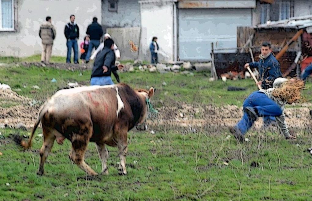 Over a thousand men engage in accidental self-stabbing during Sacrifice Feast in Turkey