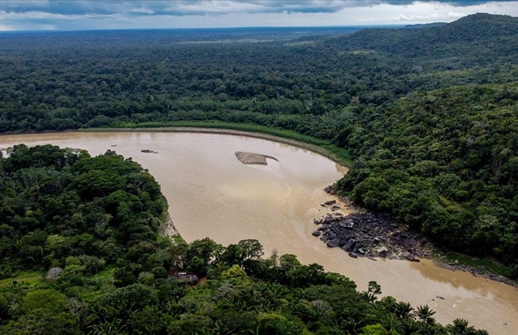 Brezilya Amazonlarında ormansızlaştırma yüzde 33,6 azaldı