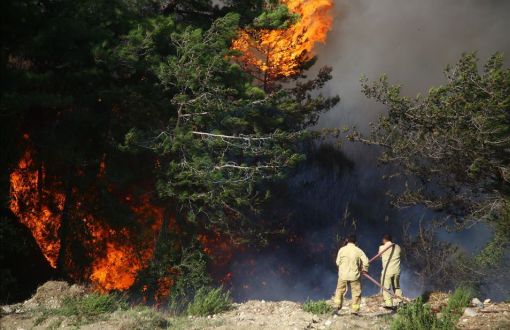 Bakan Yumaklı: 19 orman yangınından 16'sı kontrol altına alındı