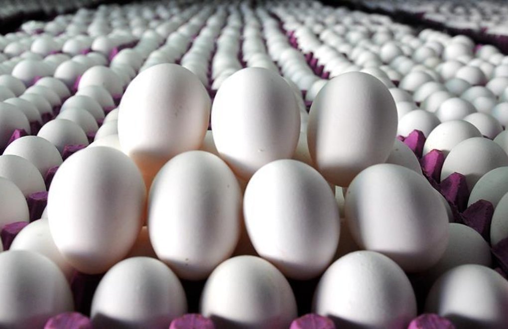 Bekir Başevirgen: Kimse gönül rahatlığıyla yumurta tüketemez