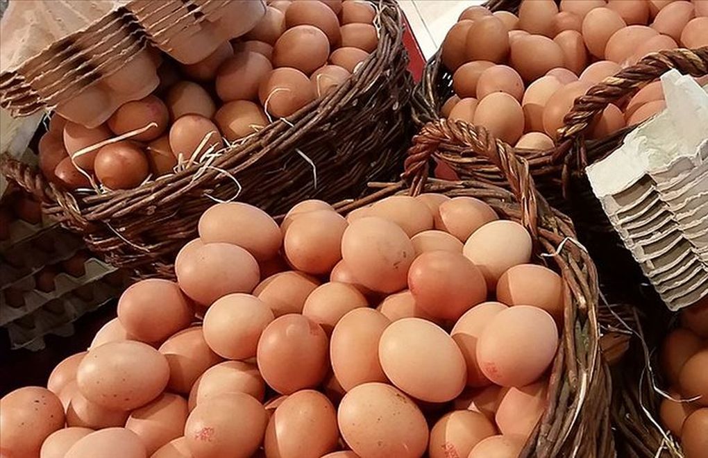 Tayvan'a ihraç edilen 'kanserojen' yumurtalara inceleme