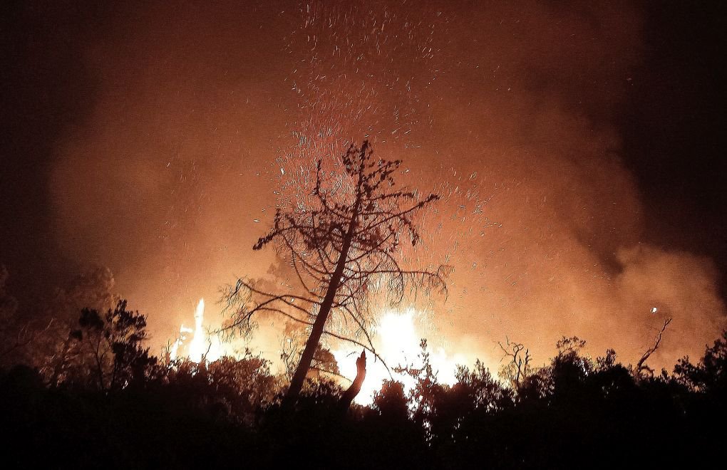 Cezayir’deki orman yangınlarında 34 kişi hayatını kaybetti
