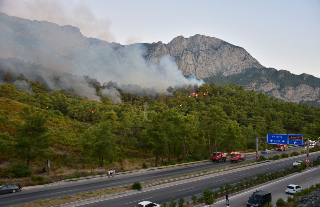 Forest fire in Antalya: 14 injured as efforts underway to contain blaze