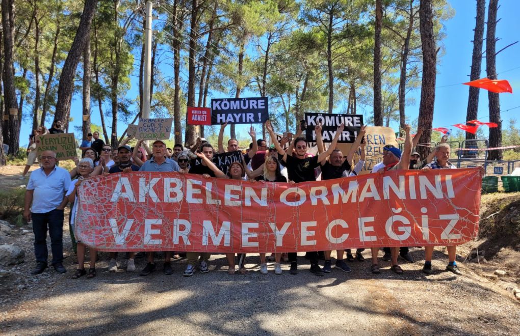 Akbelen Forest resistance continues on seventh day