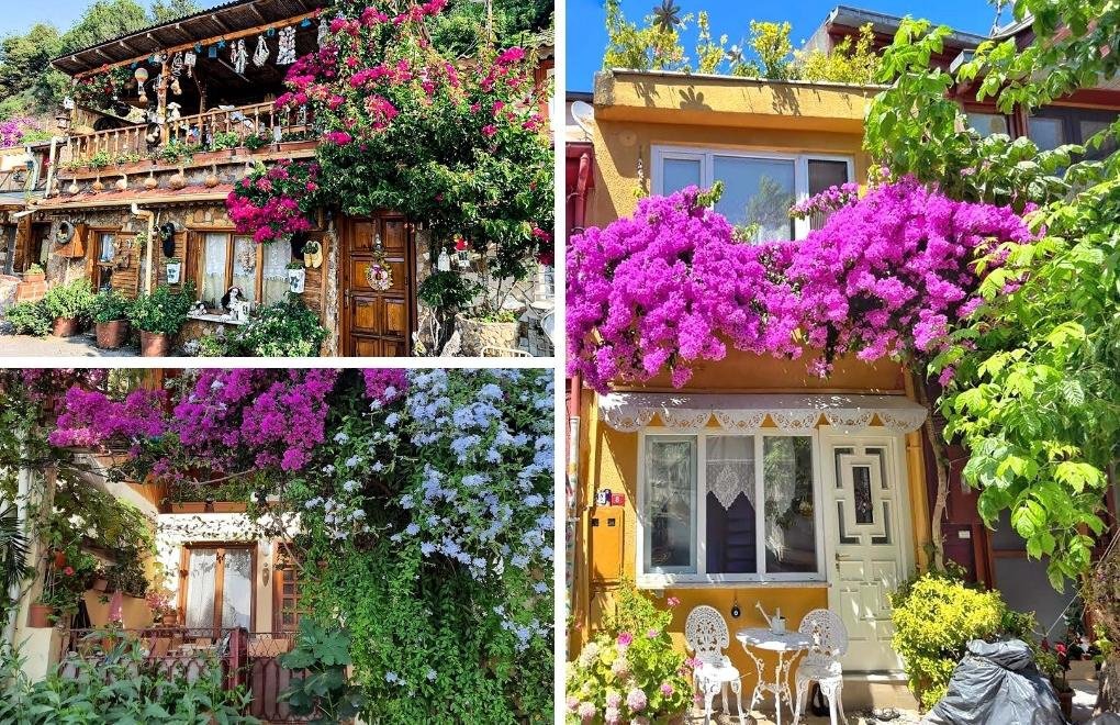 Flower Festival blooms on İstanbul's Princes' Islands