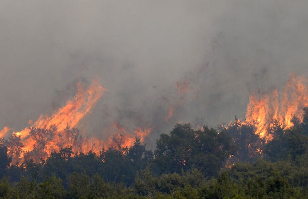 Yunanistan'da orman yangınları: Miçotakis'ten 'bedava tatil' vaadi