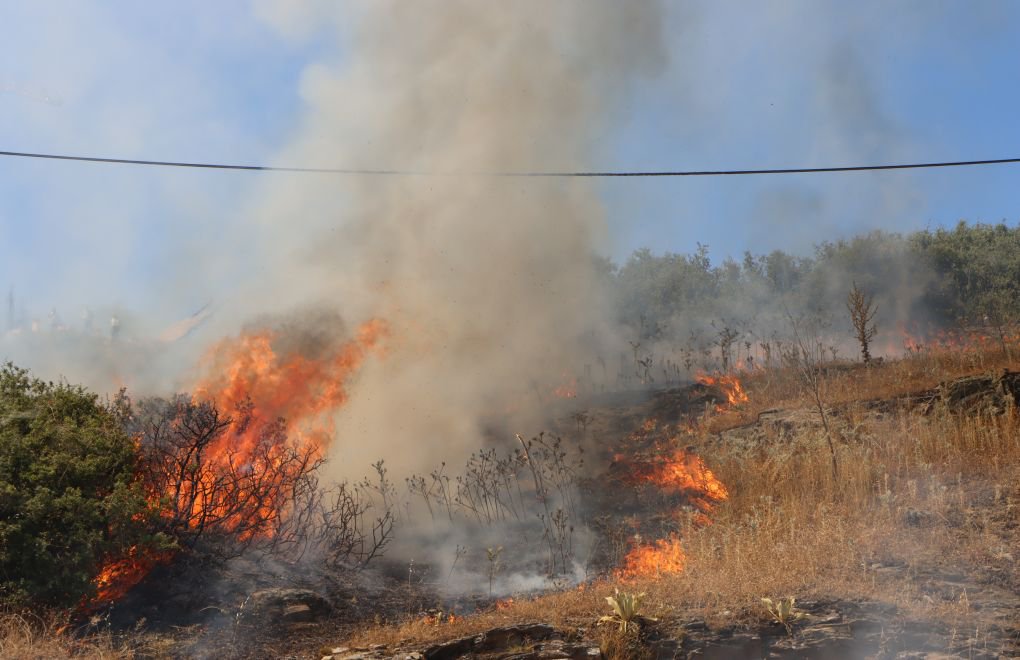 EU official warns of wildfire danger in Turkey