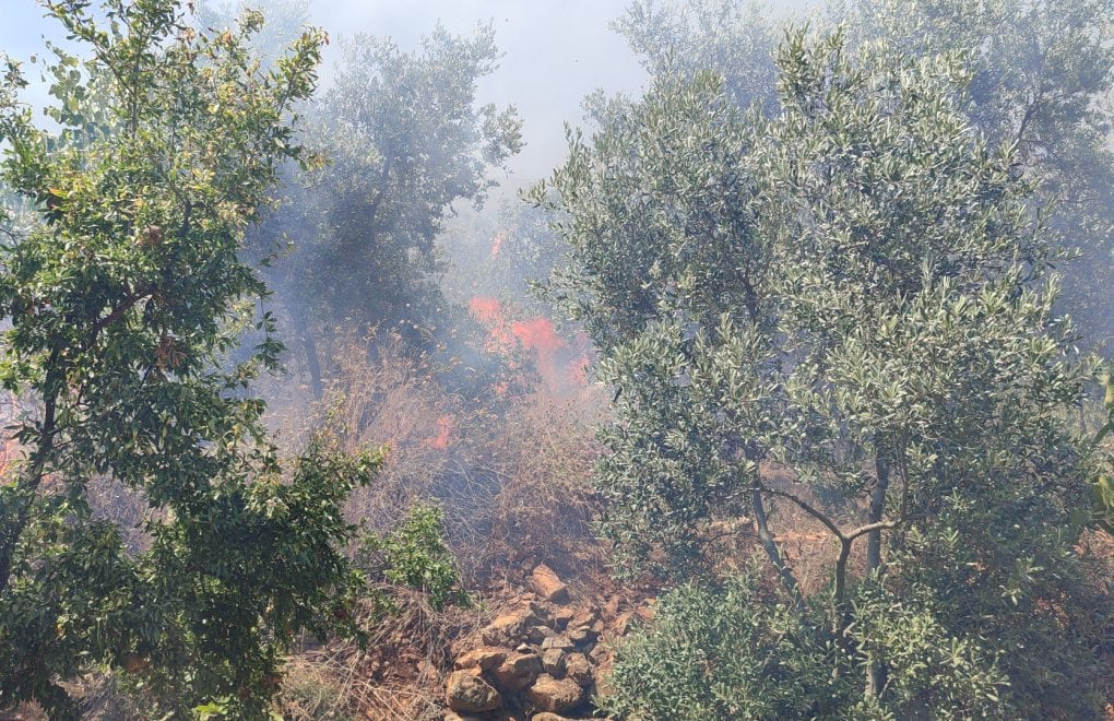 Dört kentte orman yangını