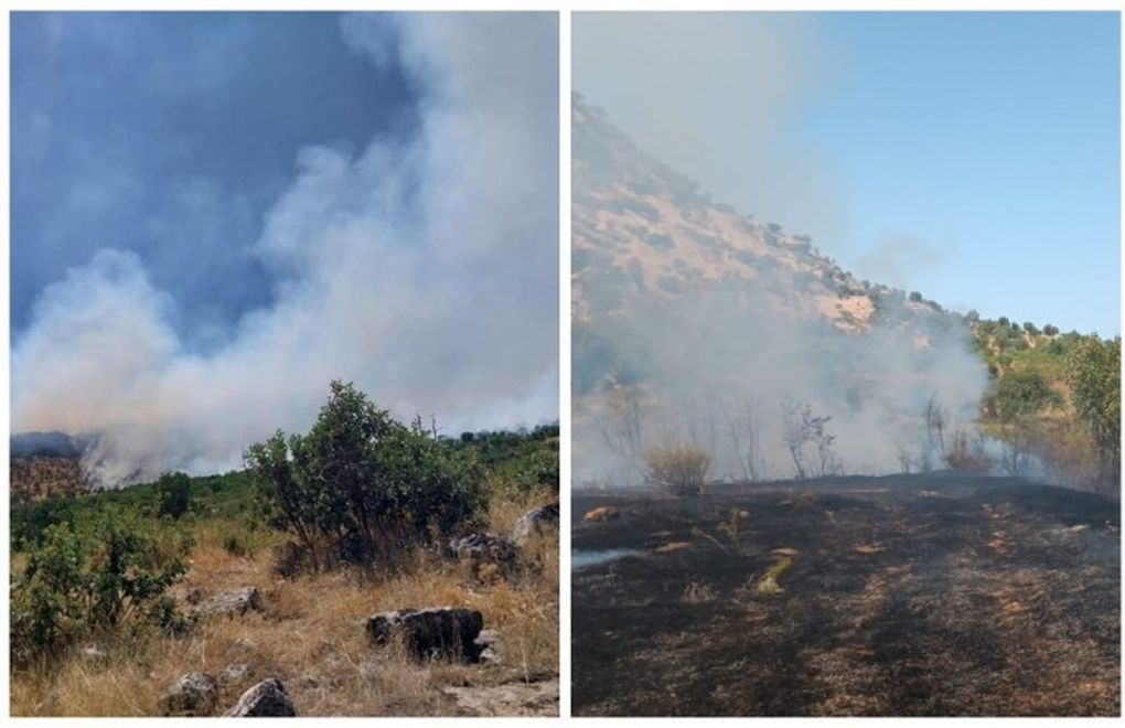 Diyarbakır, Bingöl ve Şırnak'ta orman yangını