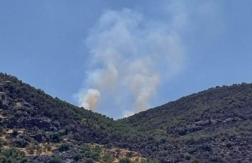 Locals call for urgent response to wildfires in Diyarbakır, Hakkari