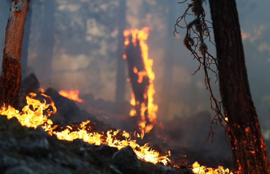 Forest fires in three provinces