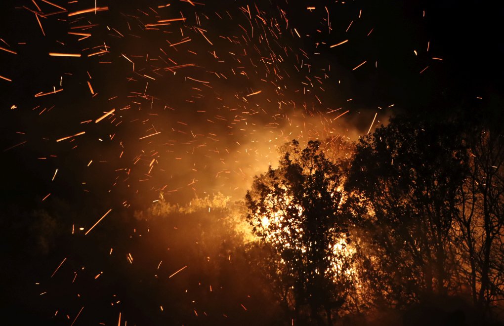 Yunanistan’da çam ormanında yangın