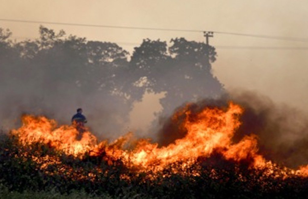 Rodop'taki orman yangınları Türkiye sınırında Aleksandropuli/Dedeağaç'a yaklaştı