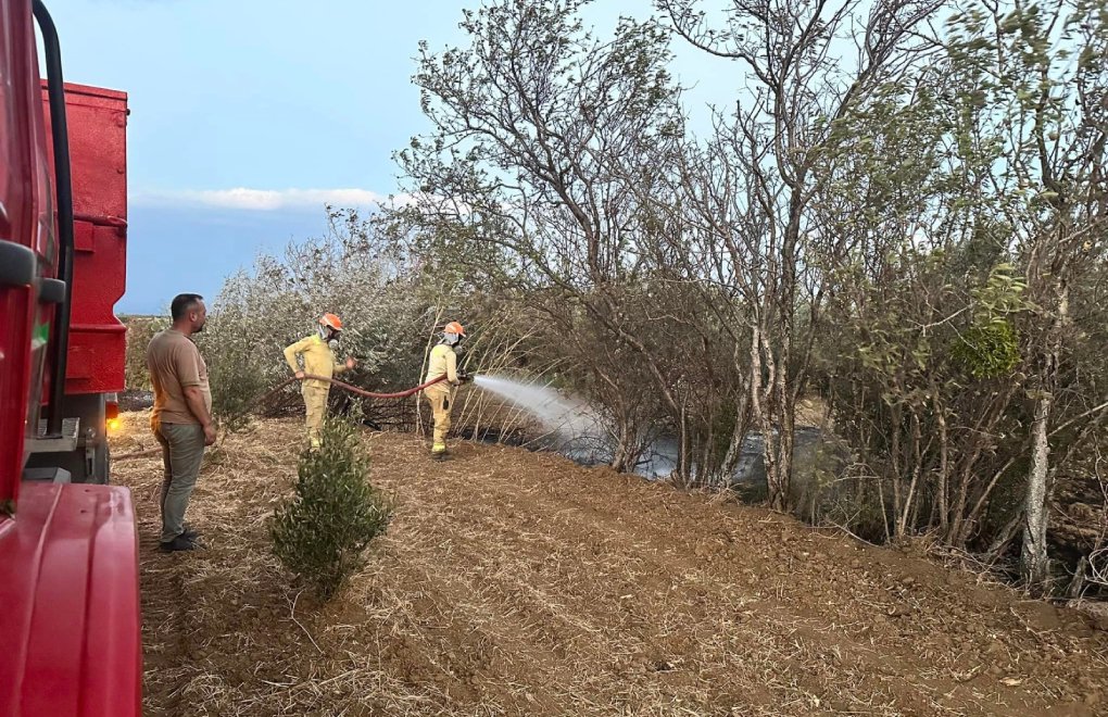 Şarköy’de orman yangını havadan müdahaleyle kontrol altında