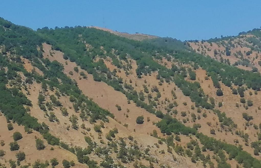 Bingöl’de askeri üs için ağaçlar kesiliyor
