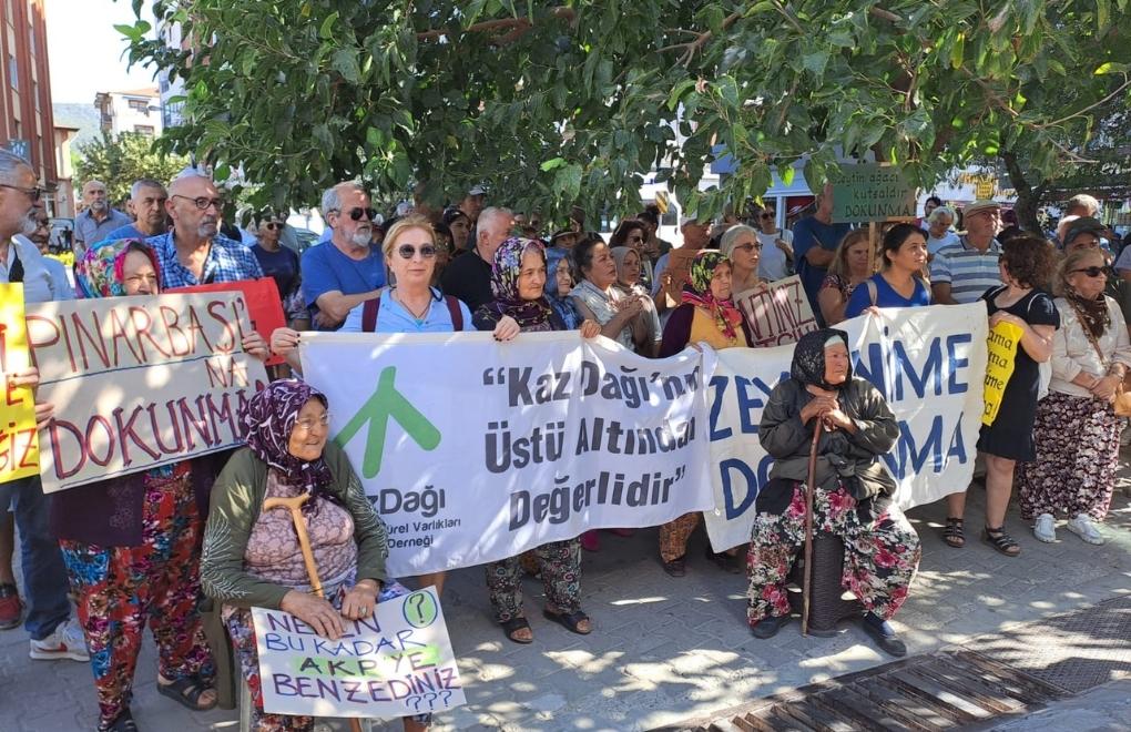Protest halts plan to develop Balıkesir olive groves for housing