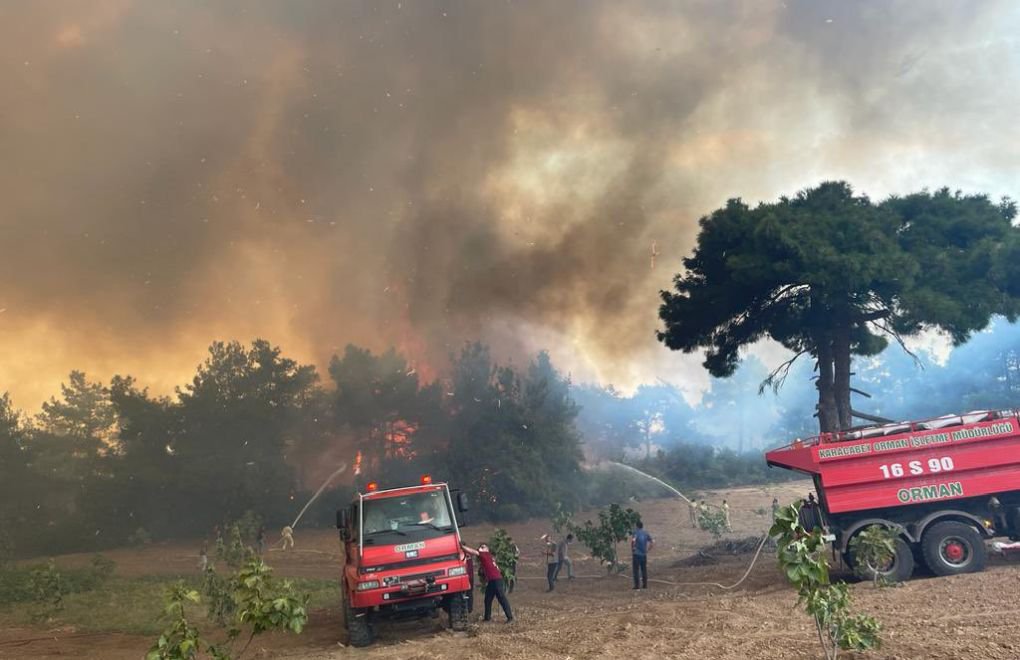 Mudanya’daki orman yangınından 25 hektar etkilendi