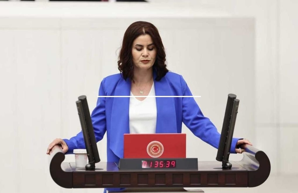 Parlamenter Sayyigitê pêşniyaznameyeke bi Kurdî pêşkêşî Parlamentoyê kir