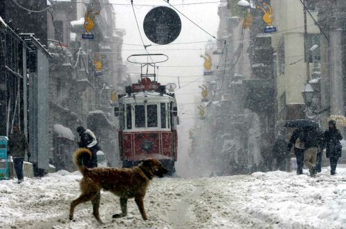 Kardan İstanbul Manzaraları(2008)
