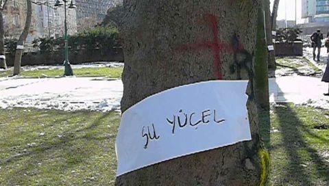 TAKSİM PROJESİ: İstanbullular Ağaçlarına Sahip Çıktı