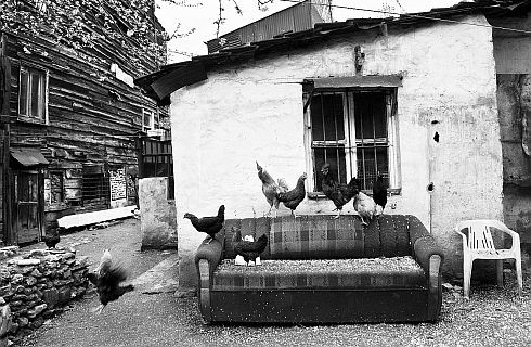 Füsun Karaman'ın fotoğrafı, Toklu Dede Mahallesi İstanbul