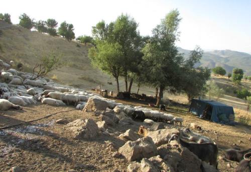 Dersim'de Yeniden Köy Boşaltma Kararı