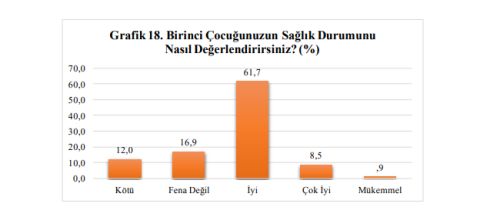 Diyarbakır Sur-Çocuk Hakları Araştırması Raporu - Çocuk Odaklı Habercilik Kütüphanesi