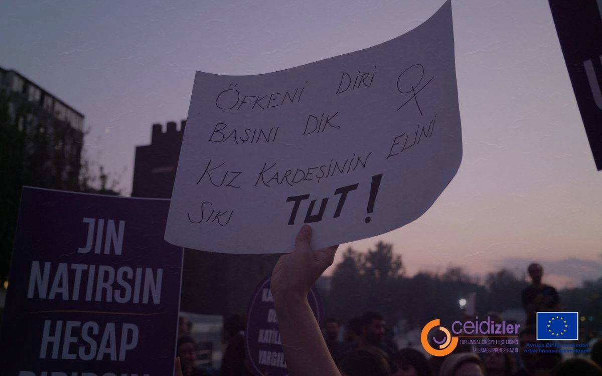 Görselde bir protesto sırasında çekilmiş bir sahne yer alıyor. İnsanlar ellerinde pankartlar ve dövizlerle toplanmış durumda. Öndeki bir kişinin tuttuğu beyaz bir dövizde şu ifadeler yazılı:  "Öfkeni diri tut, başını dik, kız kardeşinin elini sıkı tut!"