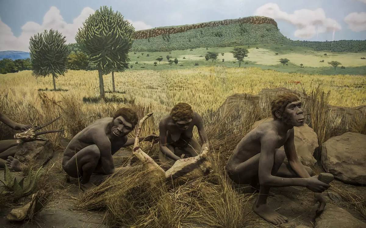 Homo Sapiens