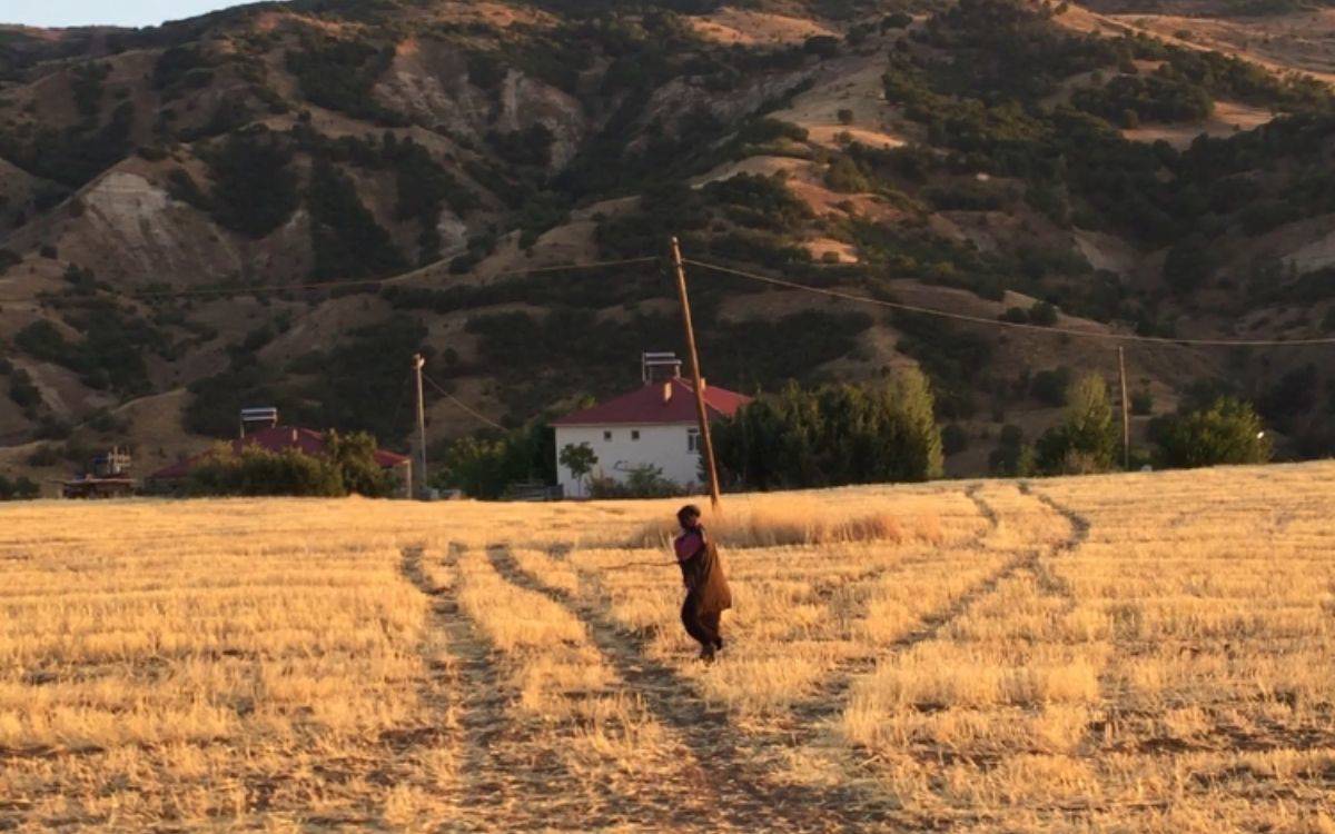 Fotoğrafta, altın sarısı kurumuş otlarla kaplı geniş bir tarla görülüyor. Tarla, güneşin alçak konumundan kaynaklı olarak sıcak, yumuşak tonlarda aydınlanmış. Arazinin ortasında, sırtı kameraya dönük bir kadın yürürken kadraja yakalanmış. Üzerinde koyu renk bir elbise ve omzuna atılmış bir hırka ya da şal var. Kadının yürüdüğü patika, traktör ya da başka araçların geçişiyle oluşmuş gibi görünen, toprağın üzerinde belirgin iki paralel izden oluşuyor.