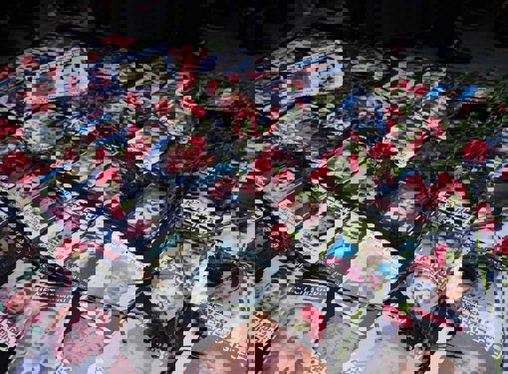 Bu fotoğraf, Türkiye’de uzun yıllardır devam eden zorla kaybedilmelere karşı verilen mücadelenin simgelerinden biridir. Görselde, yere serilmiş çok sayıda kayıp yakınlarının taşıdığı fotoğraflar yer alıyor. Her bir karede, gözaltında kaybedilmiş insanların vesikalık ya da arşivden alınmış fotoğrafları bulunuyor. Çoğunun altında “Gözaltında kaybedildi” ifadesi dikkat çekiyor. Bazılarında kayboldukları tarih, bazı kartlarda ise isimler ve kimlik bilgileri yazıyor.  Fotoğrafların üzerine bırakılmış olan kırmızı karanfiller, bu kişilere duyulan özlemi, acıyı ve adalet talebini simgeliyor. Karanfil, aynı zamanda Türkiye'de barış ve yasın da sembolüdür. Görselin tamamı, bir anı mekânı ya da protesto alanı atmosferi taşıyor; yerde dizilmiş portreler ve onların üzerine bırakılan çiçekler, sessiz ama çok güçlü bir çığlık gibi.
