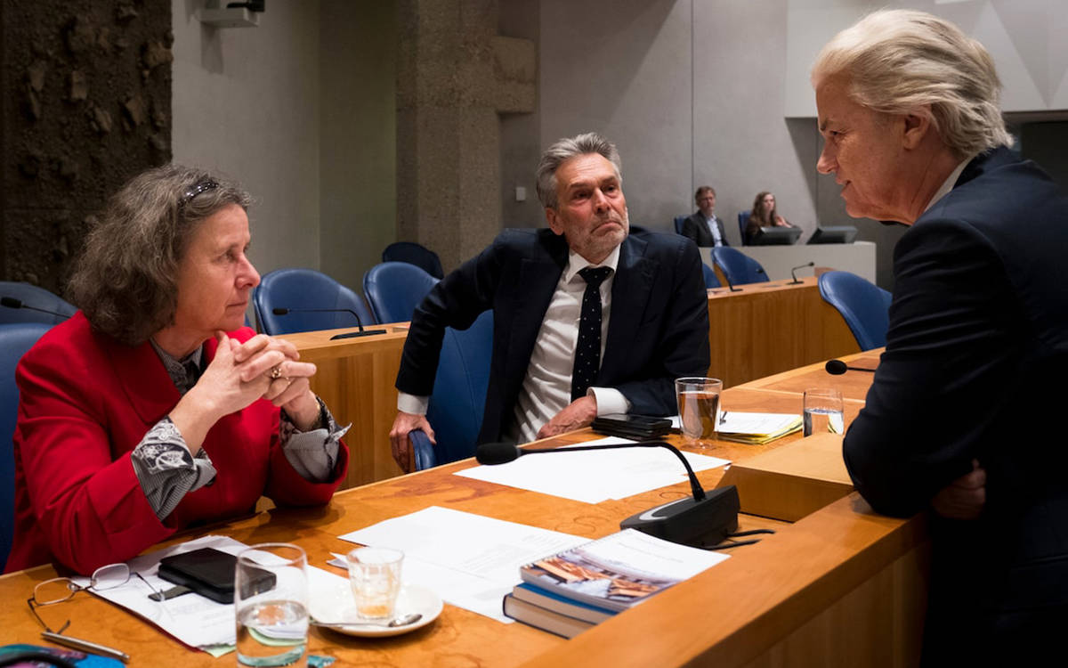 Wilders'in mülteci planı Hollanda hükümetini nasıl çökertti?