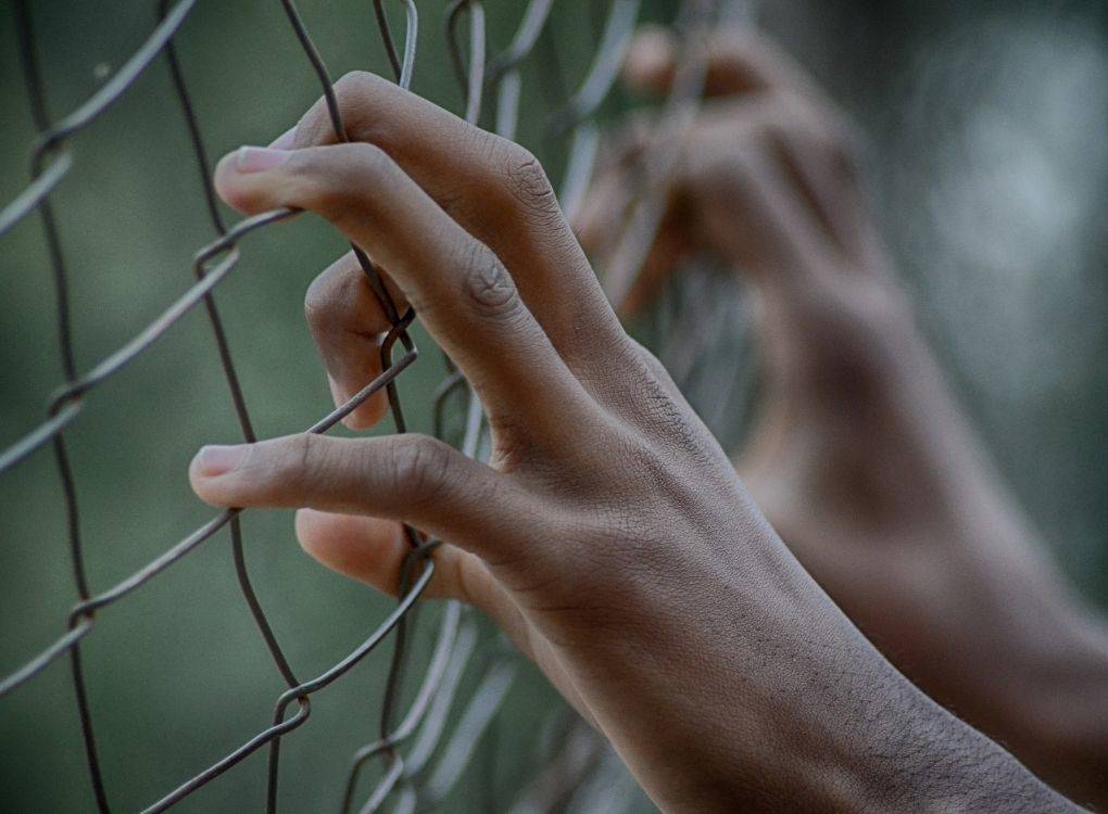 Bu fotoğraf, güçlü bir duygusal etki yaratan simgesel bir anı yansıtmaktadır. Görselin odağında, iki insan eli tel örgüye sıkıca tutunmuş durumda. Tel örgü, zincir bağlantılı bir çit biçiminde; genellikle sınır, engel veya mahkûmiyet gibi anlamlar çağrıştırır. Eller çitin arasından dışarıya doğru değil, içeriye sıkışmış gibi görünmekte.  Eller gergin bir şekilde tellere sarılmış; bu da bir özgürlük arayışı, kısıtlanmışlık hissi, çaresizlik ya da direniş temalarını çağrıştırıyor. Arka plan flu, bulanık bırakılmış ve yeşil-gri tonlarda; bu da görseldeki ana mesajın daha da belirginleşmesine olanak tanıyor.