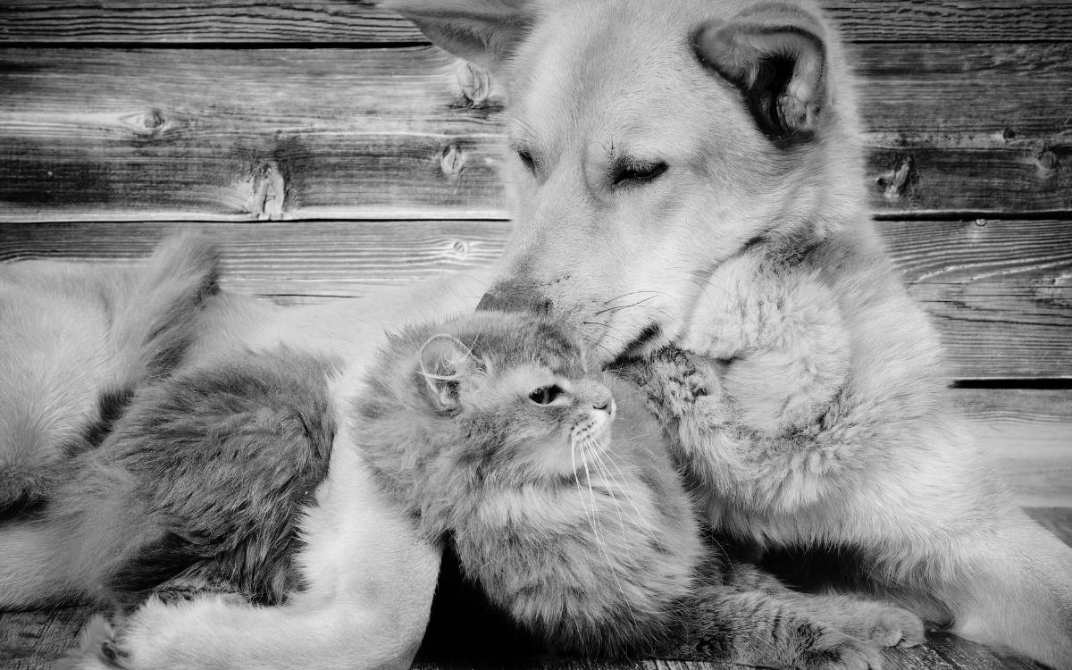 Dostluğun zamanı ve zamansızlığı