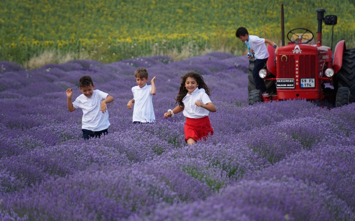 2024-2025 eğitim öğretim yılı sona erdi: Geride ne kaldı?