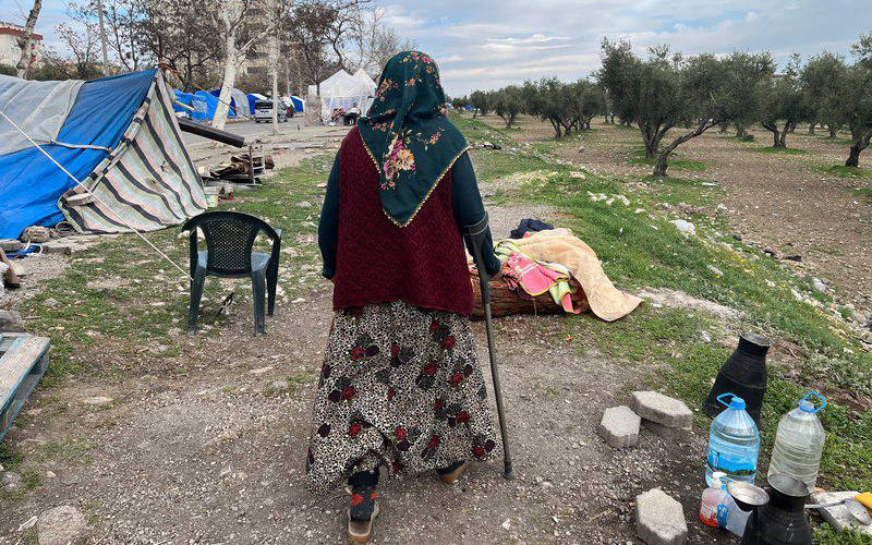 Barış ve engelliler