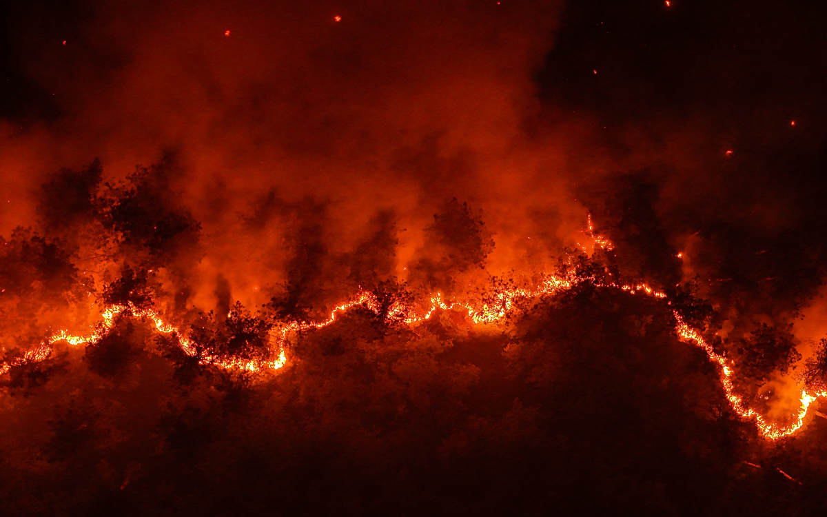Alevlerin ardında kalanlar