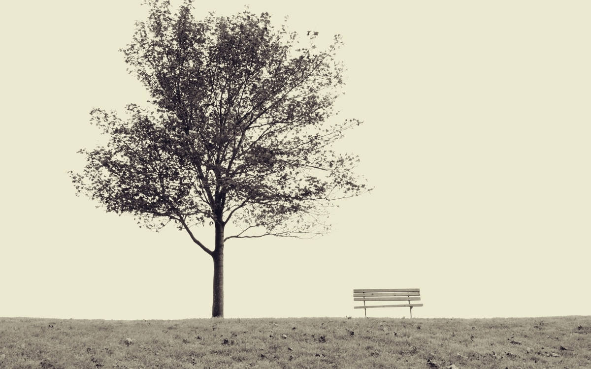 ‘İnsanlar göğe doğru düşer’