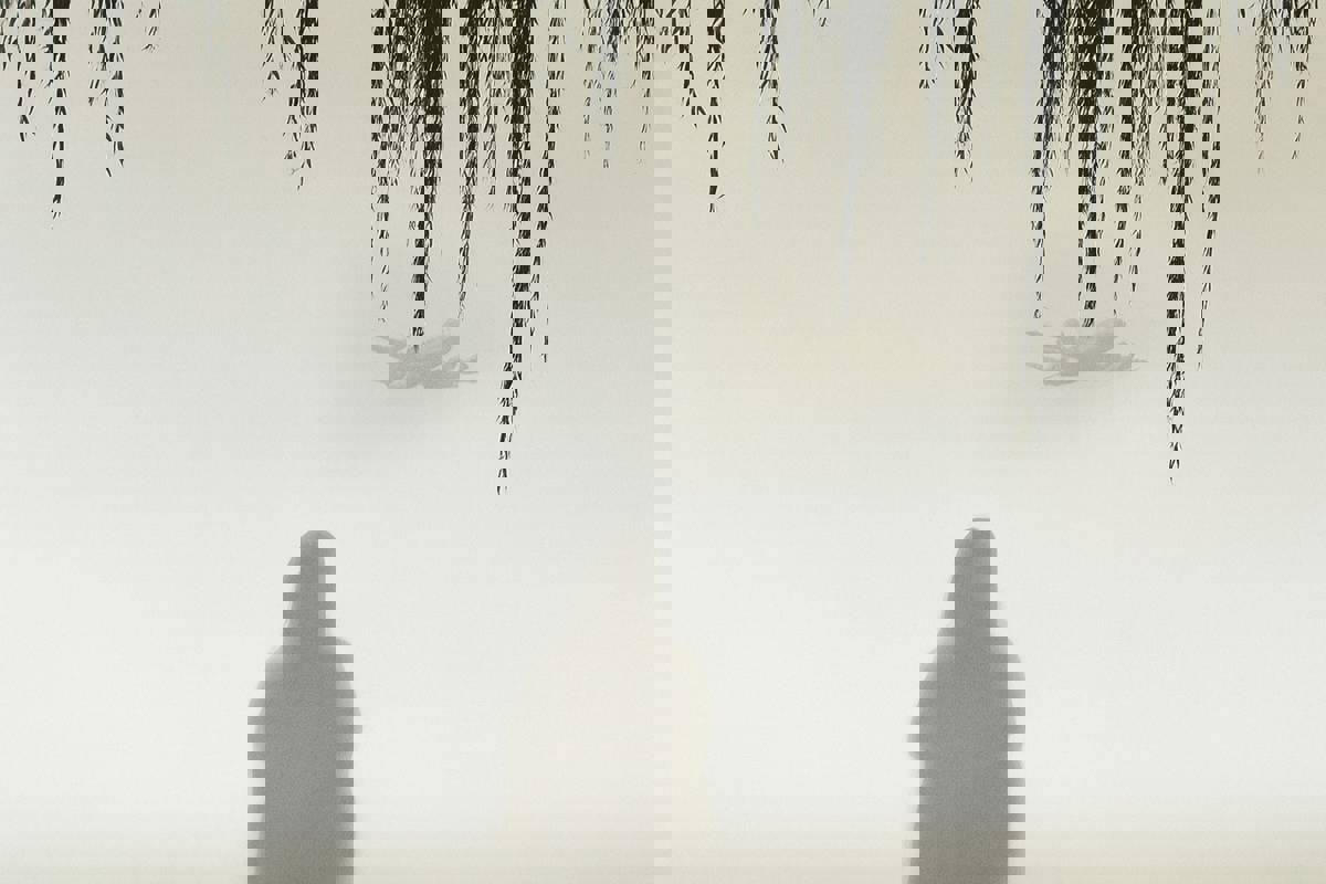 The Beloved from Halabja