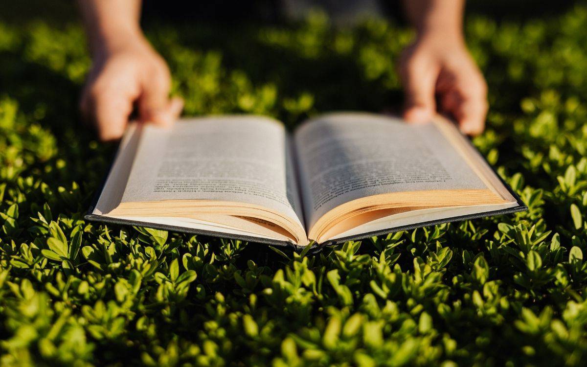 yeşil çimler üzerinde sayfası iki yana açılmış kitap okuyan iki el.