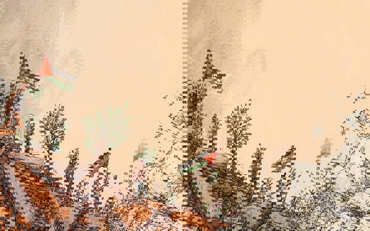 Resistance to digital colonialism in Palestine