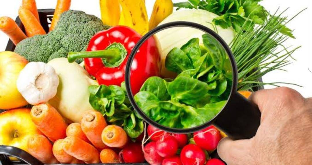 Böcek ailesinin sessiz tanıklığı