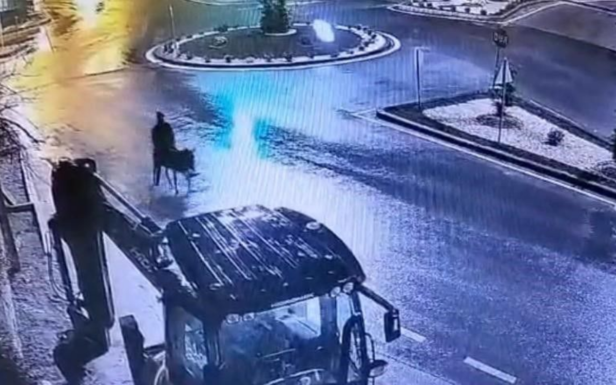 Forkliftten inip eşeğe binen